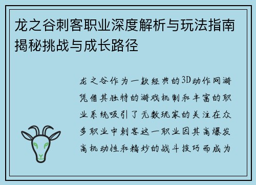 龙之谷刺客职业深度解析与玩法指南揭秘挑战与成长路径